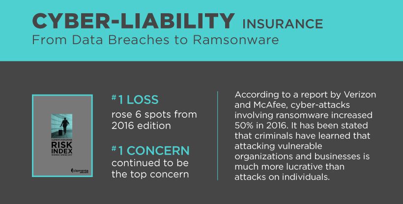 Cyber Liability Infographic