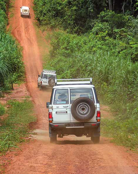 Fleet of work vehicles traverse dirt road in the country.